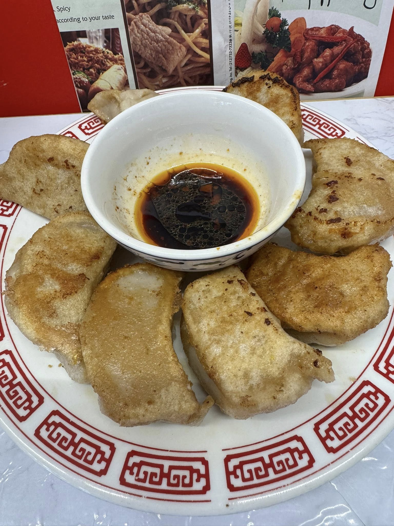 pan fried dumpling